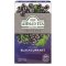 Blackcurrant | 20 alu sáčkov